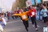 5.Balaton Maraton