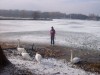 Malomvölgyi tó télen
